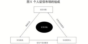 起底個(gè)人征信軟件開(kāi)發(fā) 技術(shù)賦能與合規(guī)挑戰(zhàn)